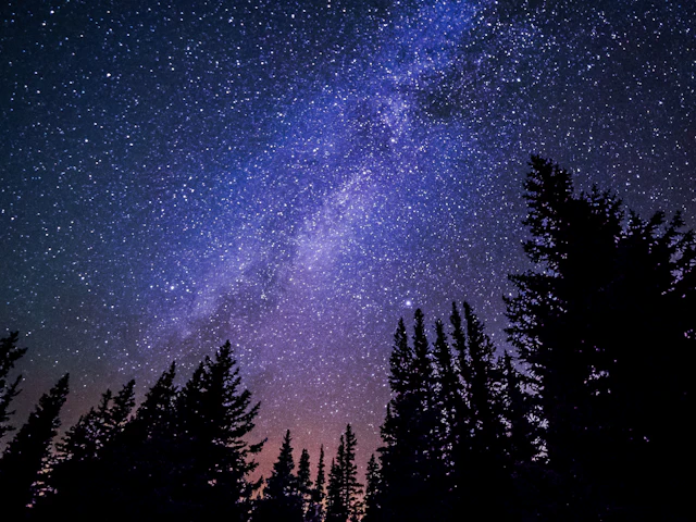 Twinkle, Twinkle, Little Star — французская народная